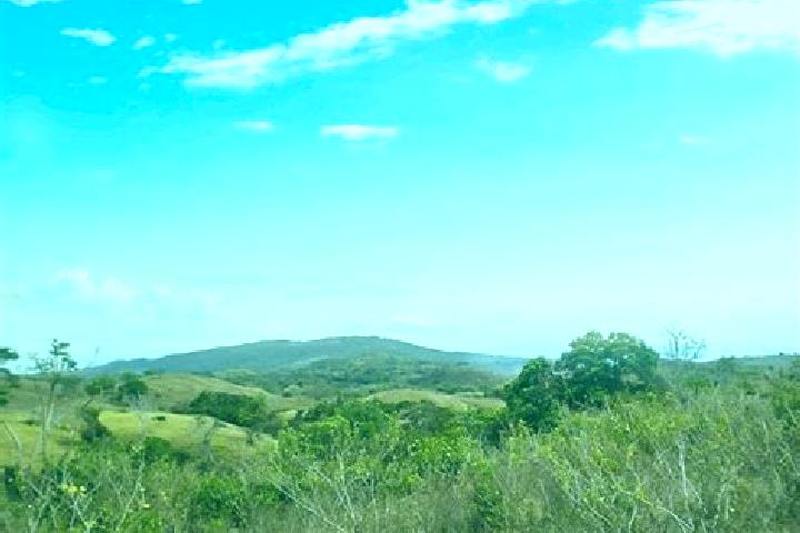 Stella, 35 — Escort in Bajos de Gueera, Panama