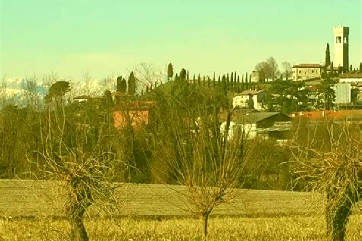 Stella, 37 — Escort in Fagagna, Italy