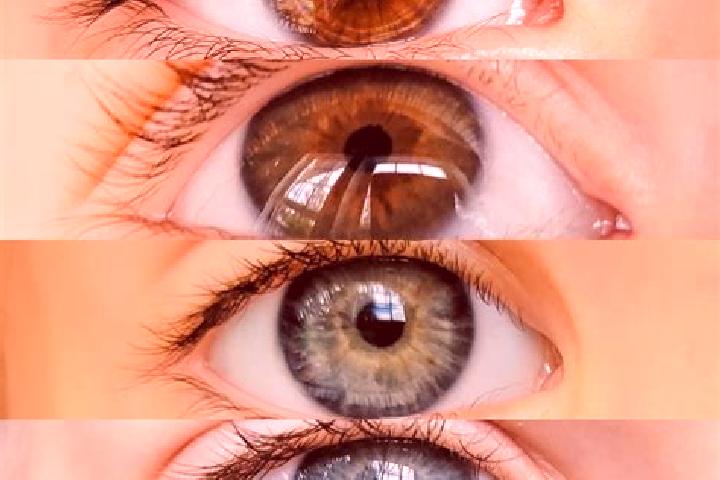 Stella, 38, a chestnut amber-eyed mixed companion based in Cedar Springs. Offering Duos, Erotic Massage, CIM. Available for incall and outcall, overnight boo...