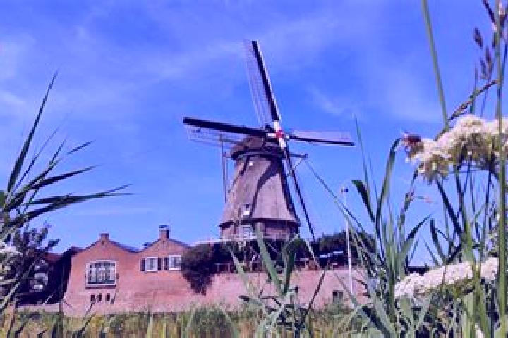 Stella, 38 — Escort in Welberg, Netherlands