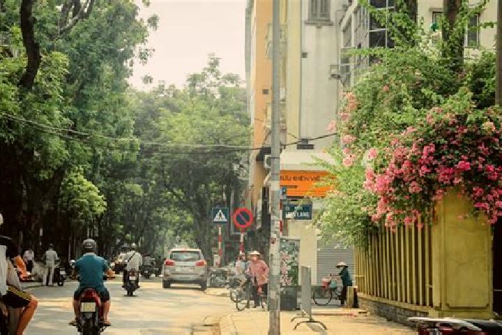 Stella, 39 — Escort in Pac Miau, Vietnam