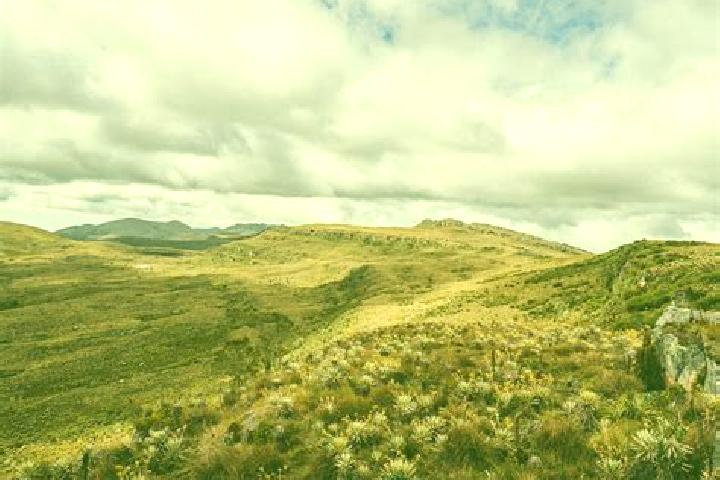 Victoria, 22 — Escort in Paramo, Colombia