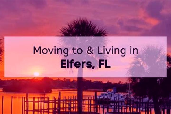 Victoria, 24 — Escort in Elfers, United States