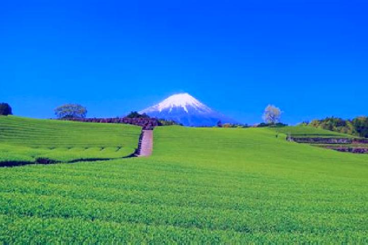 Victoria, 24 — Escort in Obuchi, Japan