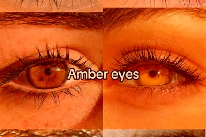 Victoria, 25, a chestnut amber-eyed european companion based in Russley. Offering Travel Companion, Couples, 69, Fetish. Available for incall and outcall, da...