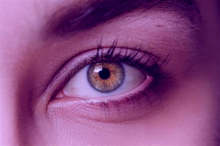 Victoria, 26, a chestnut hazel-eyed mixed companion based in Howard. Offering Tantra, Erotic Massage, GFE, OWO. Available for incall and outcall, overnight b...