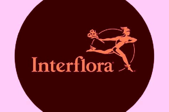 Victoria, 27 — Escort in Civrieux, France