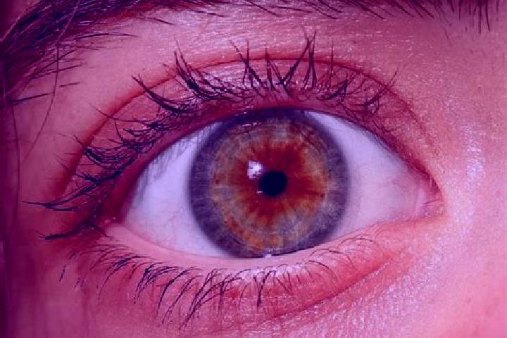 Victoria, 28, a red hazel-eyed middle eastern companion based in Espinosa de Cerrato. Offering Fetish, Duos, GFE. Available for incall and outcall, day and e...