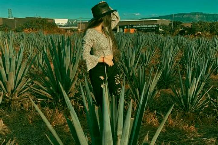 Victoria, 29 — Escort in Tequila, Mexico