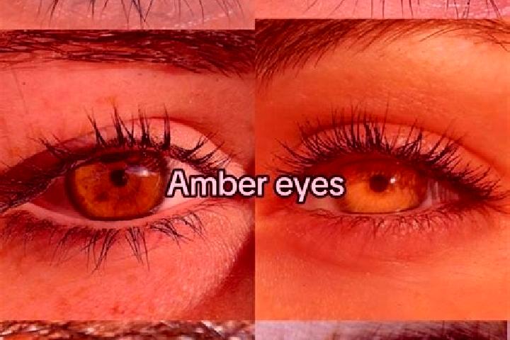Victoria, 30, a chestnut amber-eyed mediterranean companion based in Traboch. Offering BDSM, Party Girl, CIM. Available for incall and outcall, day and eveni...