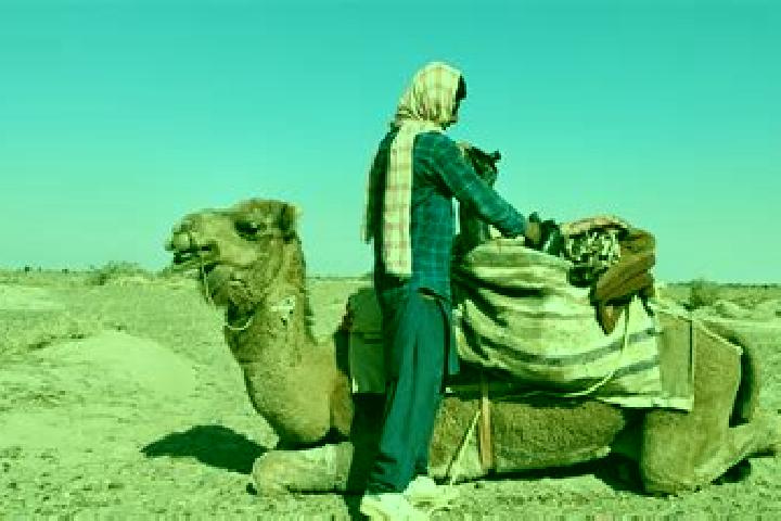 Victoria, 30 — Escort in Dasht-e Qal ah, Afghanistan
