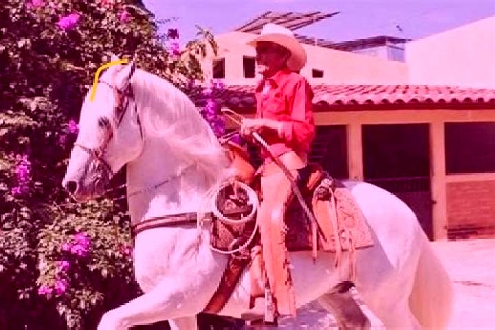 Victoria, 32 — Escort in Azoyu, Mexico