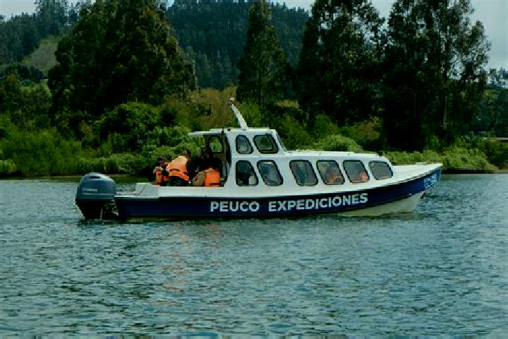 Victoria, 34 — Escort in Carahue, Chile