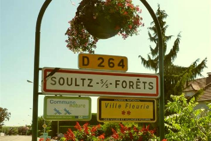 Victoria, 34 — Escort in Soultz-sous-Forets, France