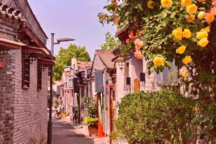 Victoria, 35 — Escort in Danglang Hudong, China