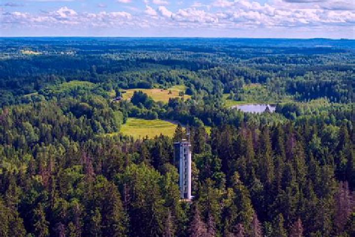 Victoria, 35 — Escort in Suure-Kambja, Estonia