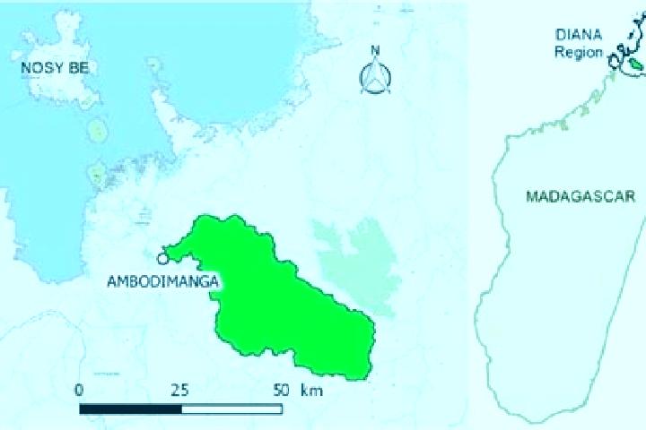 Victoria, 36 — Escort in Ambodimanga II, Madagascar