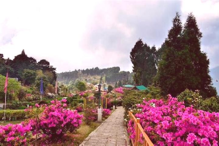 Victoria, 36 — Escort in Kalimpong, India