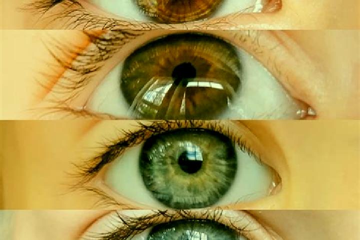 Victoria, 38, a chestnut blue-eyed middle eastern companion based in Cendon. Offering Tantra, OWO. Available for incall and outcall, overnight bookings avail...