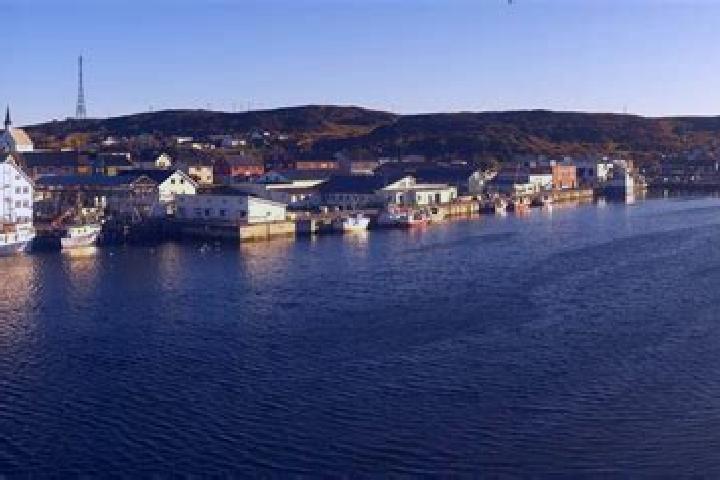 Victoria, 38 — Escort in Berlevag, Norway