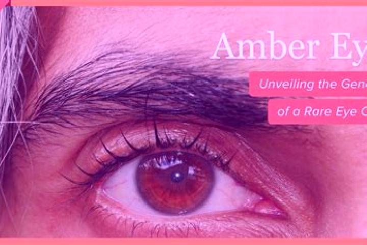 Violet, 20, a red amber-eyed indian companion based in Pleisweiler-Oberhofen. Offering Girlfriend Experience, Duos, GFE. Available for incall and outcall, ov...