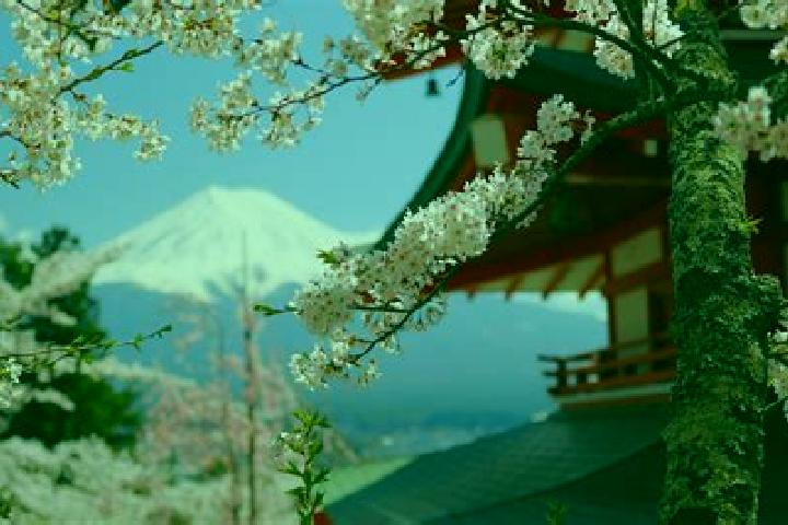 Violet, 21 — Escort in Fujiyoshida, Japan