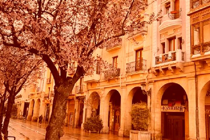 Violet, 21 — Escort in Logrono, Spain
