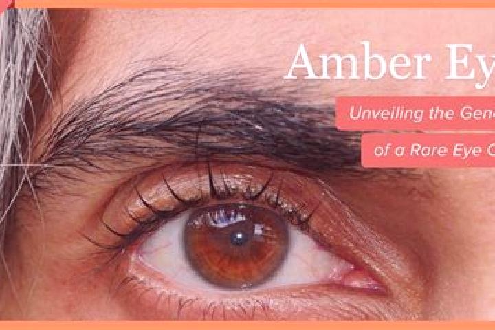 Violet, 22, a red amber-eyed ebony companion based in Boryslawice. Offering Massage, CIM, 69. Available for incall and outcall, day and evening dates.