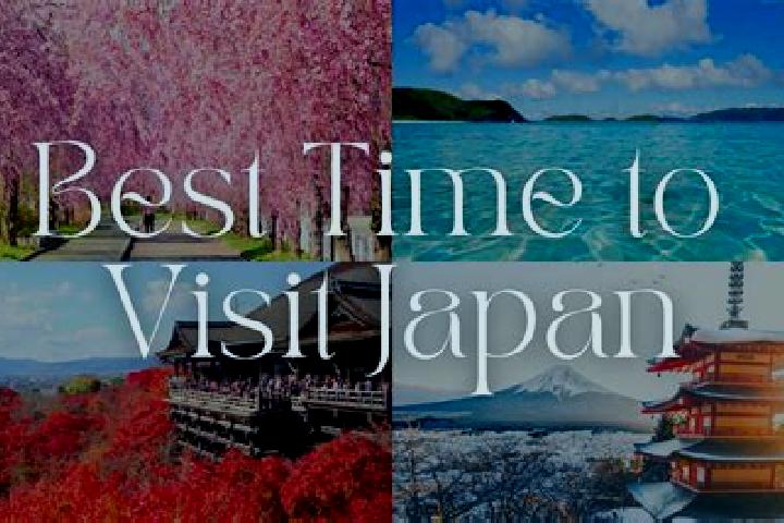 Violet, 22 — Escort in Akababa, Japan