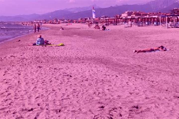 Violet, 22 — Escort in Corsanico-Bargecchia, Italy