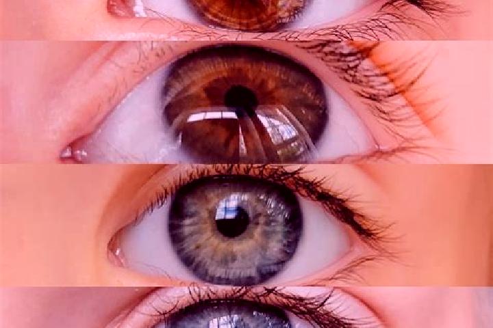 Violet, 23, a chestnut blue-eyed middle eastern companion based in Santion. Offering GFE, Couples, Fetish, 69. Available for incall and outcall, overnight bo...