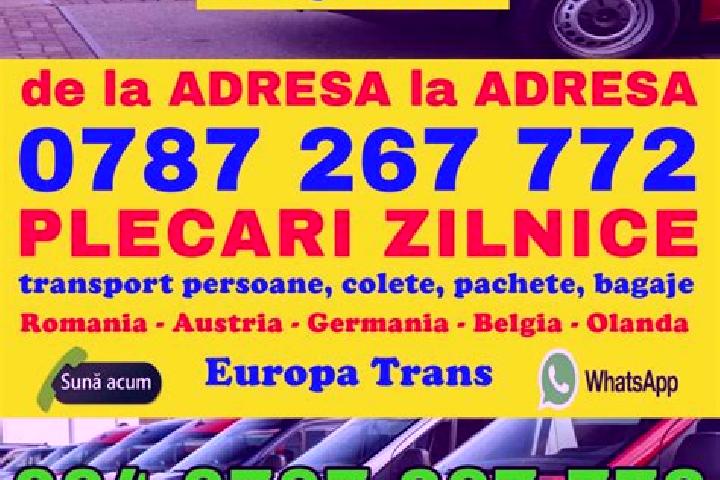 Violet, 23 — Escort in Tetoiu, Romania