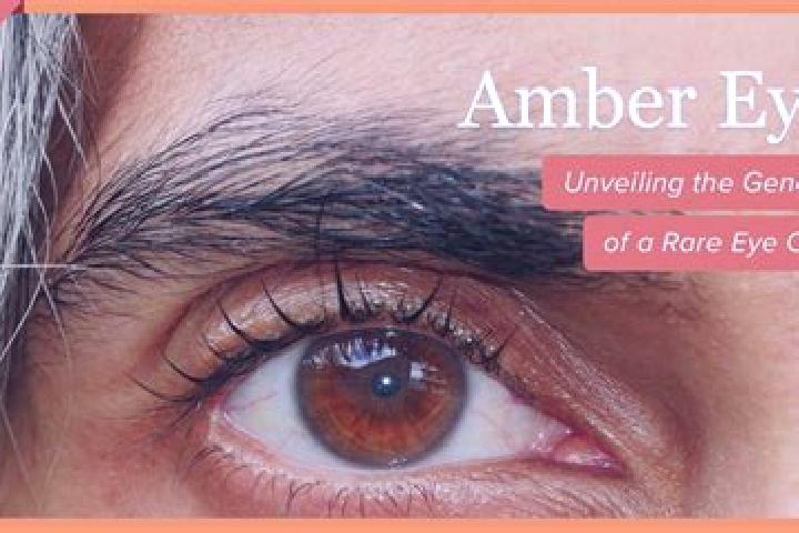 Violet, 24, a red amber-eyed caribbean companion based in Pleasant Run. Offering Striptease, OWO, Erotic Massage. Available for incall and outcall, day and e...