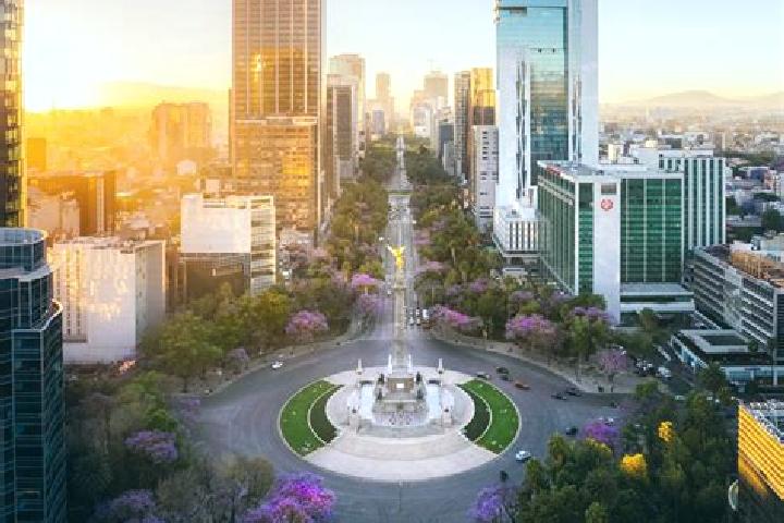 Violet, 24 — Escort in Alcholoa, Mexico