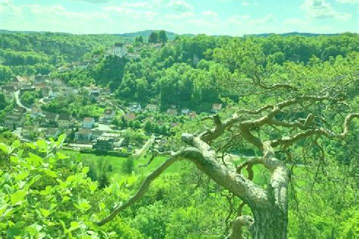 Violet, 24 — Escort in Egloffstein, Germany