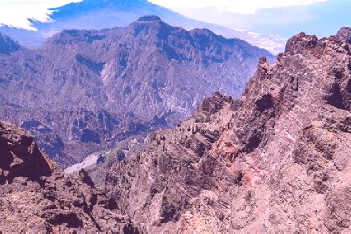 Violet, 24 — Escort in La Palma de Emenguaro, Mexico