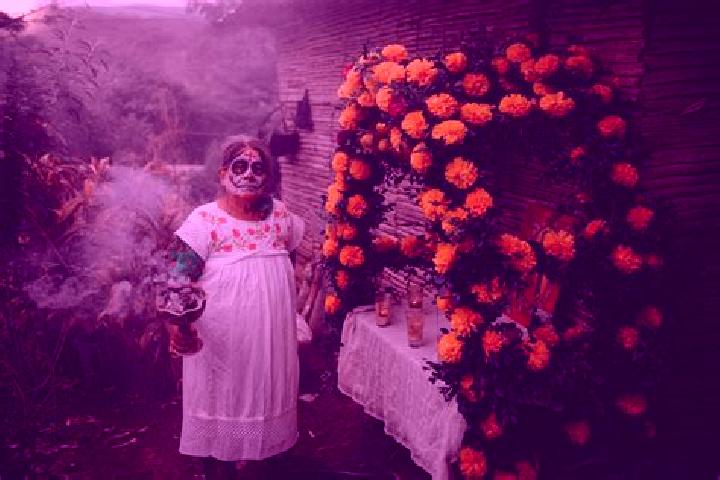 Violet, 24 — Escort in Matlapa, Mexico