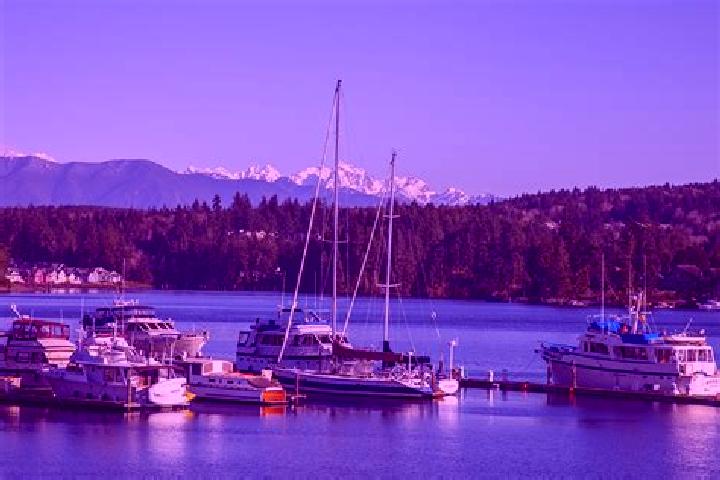 Violet, 24 — Escort in Port Ludlow, United States