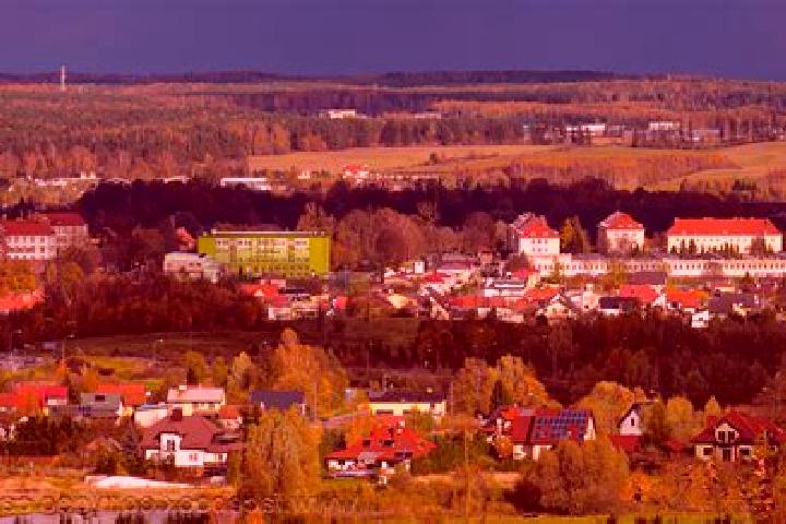 Violet, 25 — Escort in Dubeninki, Poland