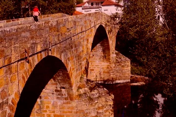 Violet, 25 — Escort in Gois, Portugal