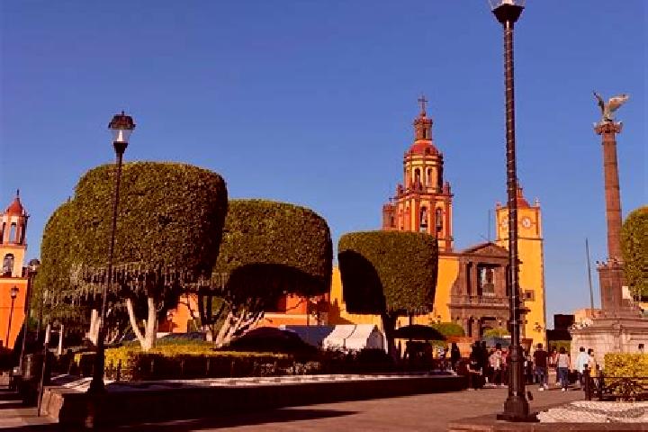 Violet, 25 — Escort in Santa Maria del Rio, Mexico