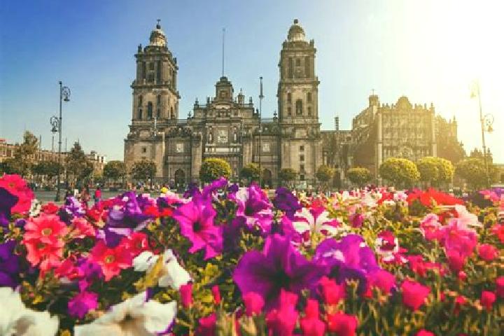 Violet, 26 — Escort in Ciudad Acuna, Mexico