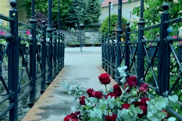 Violet, 26 — Escort in Kowary, Poland