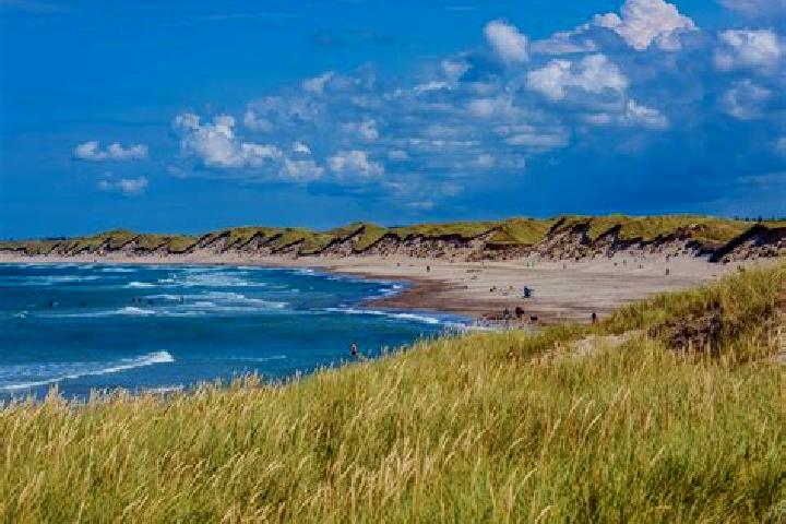 Violet, 26 — Escort in Skagen, Denmark