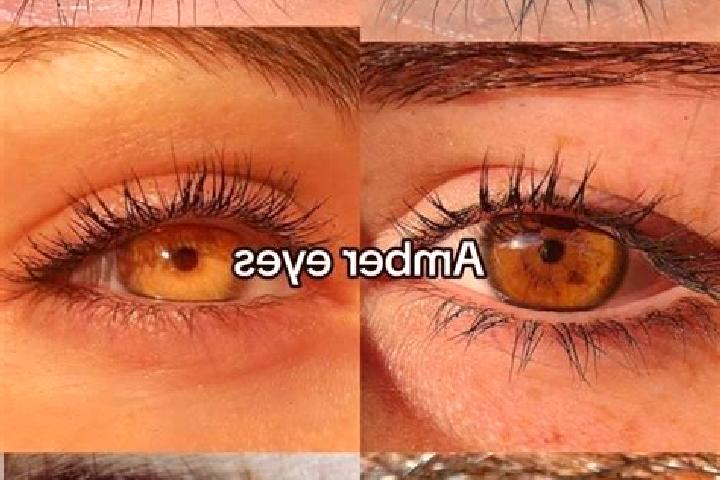 Violet, 27, a chestnut amber-eyed middle eastern companion based in Calabacito. Offering Travel Companion, GFE, Domination. Available for incall and outcall,...