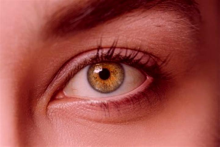 Violet, 27, a chestnut hazel-eyed mixed companion based in Hispanoamerica. Offering Overnight, Roleplay, CIM. Available for incall and outcall, overnight boo...