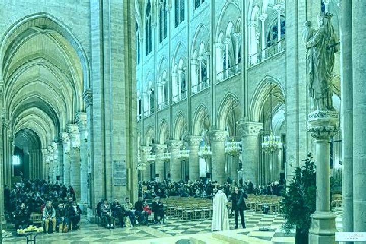 Violet, 27 — Escort in Notre-Dame-de-Bliquetuit, France