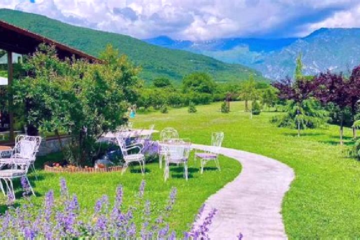 Violet, 27 — Escort in Orma, Greece