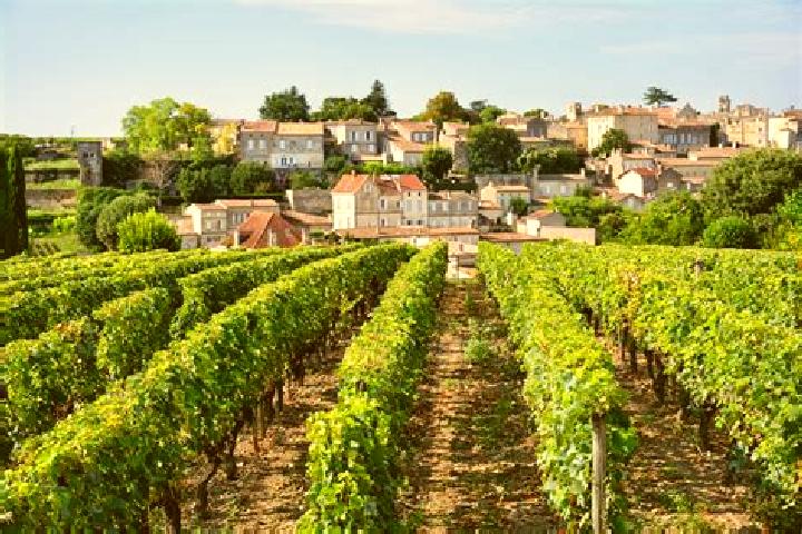 Violet, 28 — Escort in Bourdeaux, France