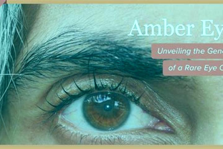 Violet, 29, a black amber-eyed ebony companion based in Chicama. Offering OWO, Duos, Dinner Date, Travel Companion, A-Level. Available for incall and outcall...